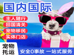 扎兰屯成吉思汗机场空运国际宠物托运 【国